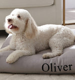 LETTINO - DOG BED